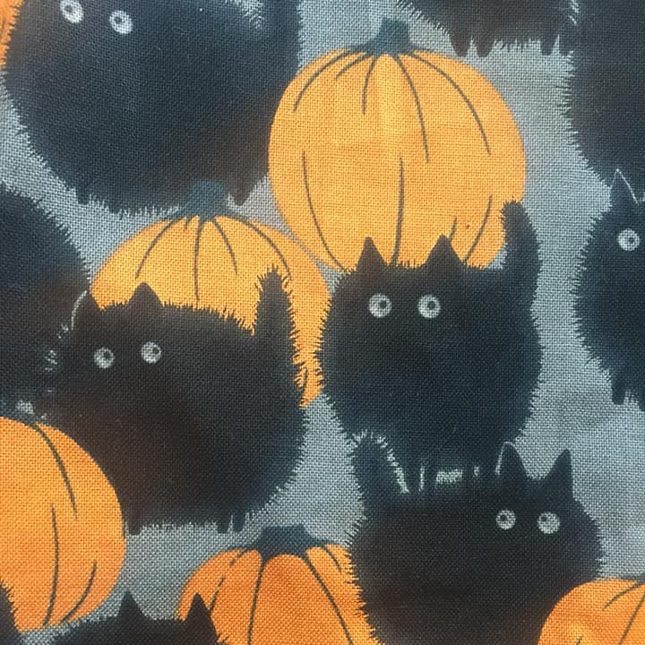 fabric that has cats and pumpkins on it