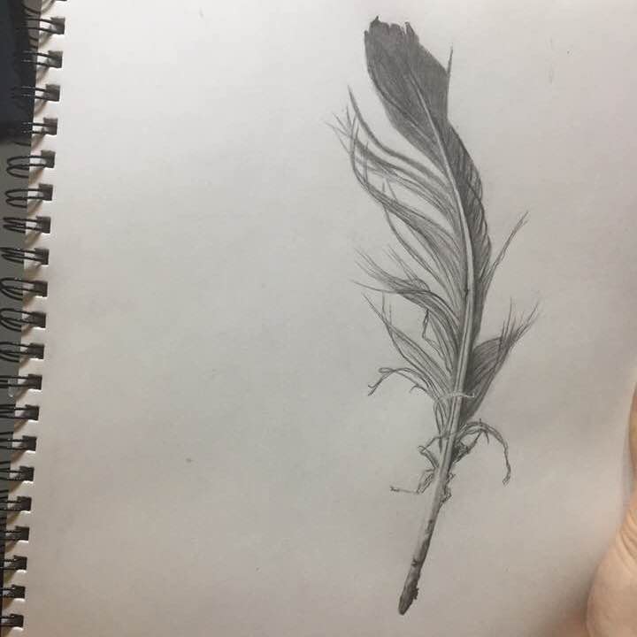 drawing of a feather