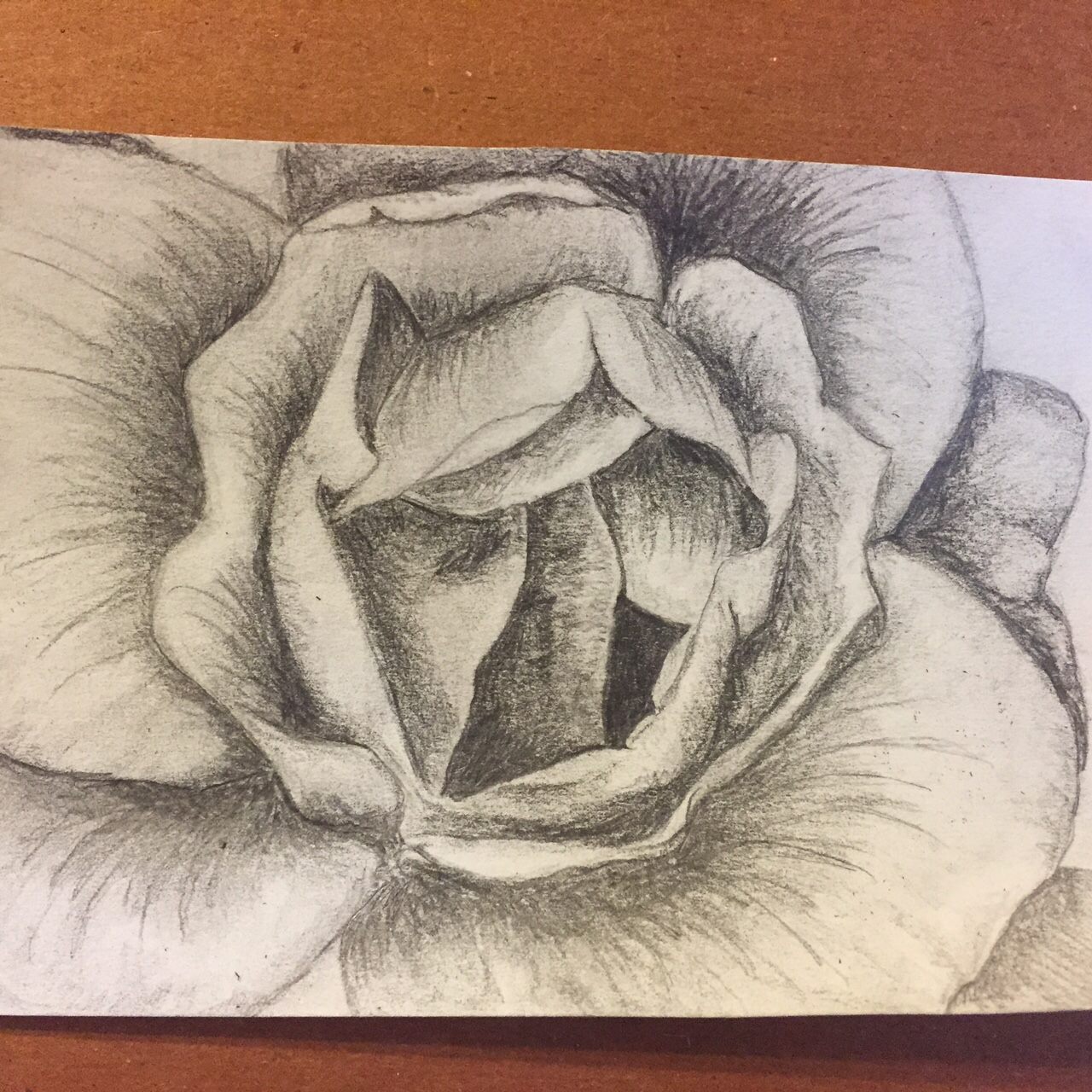 drawing of a flower